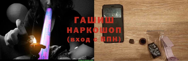 индика Гусиноозёрск