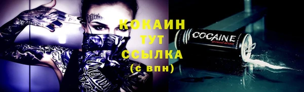 индика Гусиноозёрск