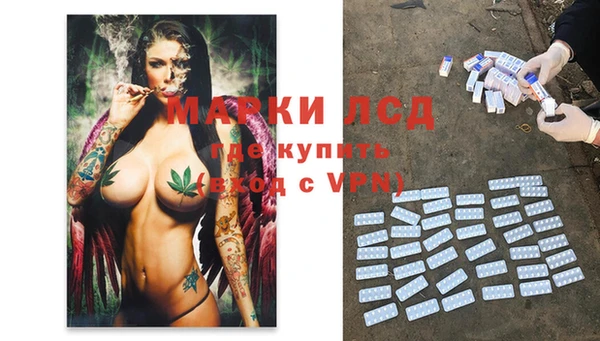 Альфа ПВП Сосновоборск