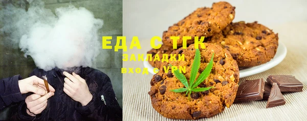 индика Гусиноозёрск